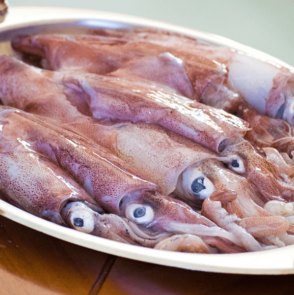 Calamari sporchi