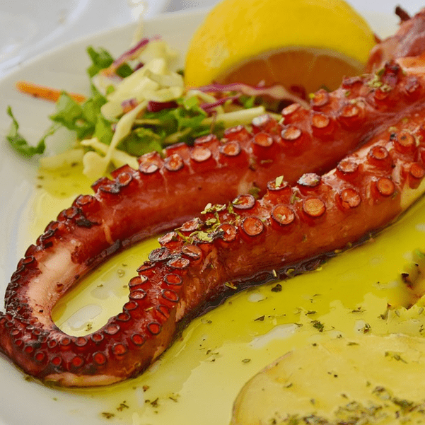 Polpi Marocco tentacoli cotti